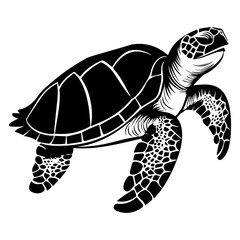 Turtle marine animal icon. Sea turtle silhouette. vector illustration