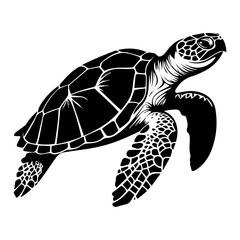 Turtle marine animal icon. Sea turtle silhouette. vector illustration