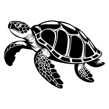 Turtle marine animal icon. Sea turtle silhouette. vector illustration