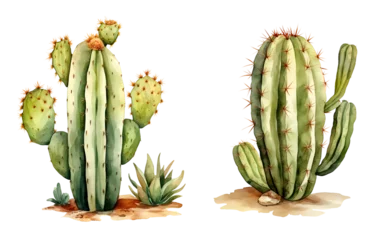 Raamstickers Cactus Western cactus, watercolor clipart illustration with isolated background