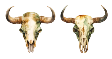 Photo sur Aluminium brossé Crâne aquarelle Western buffalo skull, watercolor clipart illustration with isolated background