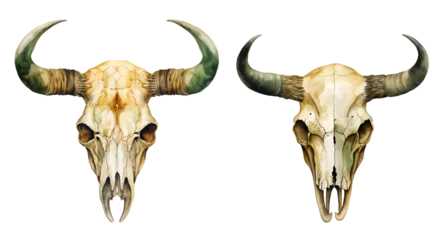 Behang Aquarel doodshoofd Western buffalo skull, watercolor clipart illustration with isolated background