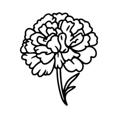 marigold flowers in outline tattoo style. Hand drawn marigold floral monochrome graphic illustration, Generative AI.