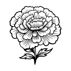 marigold flowers in outline tattoo style. Hand drawn marigold floral monochrome graphic illustration, Generative AI.