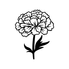 marigold flowers in outline tattoo style. Hand drawn marigold floral monochrome graphic illustration, Generative AI.