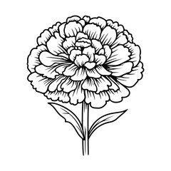 marigold flowers in outline tattoo style. Hand drawn marigold floral monochrome graphic illustration, Generative AI.