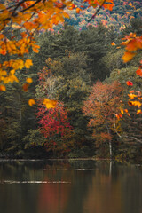 vermont fall foliage over lake