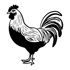 chicken full body, Chicken black icon on white background, Rooster silhouette, Generative AI.