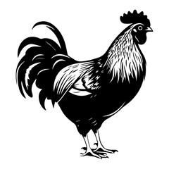 chicken full body, Chicken black icon on white background, Rooster silhouette, Generative AI.