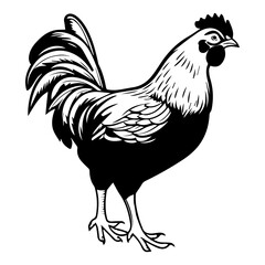 chicken full body, Chicken black icon on white background, Rooster silhouette, Generative AI.