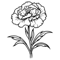 Carnation flower graphic black white isolated sketch illustration vector, Generative AI.