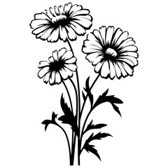 Aster florals hand drawn sketch, Generative AI.	