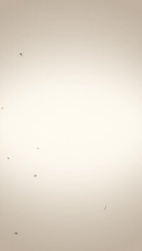 映画のような フィルムノイズ エフェクト縦型動画 2