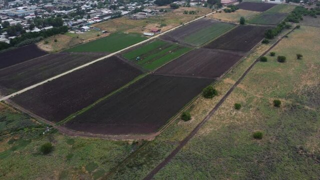Campos de cultivo