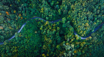 Aerial view of a road in the middle of the forest , road curve construction up to mountain	