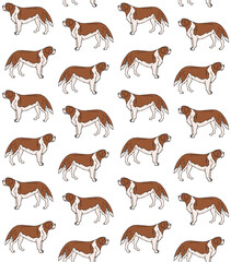 Vector seamless pattern of hand drawn doodle sketch colored Saint Bernard dog isolated on white background