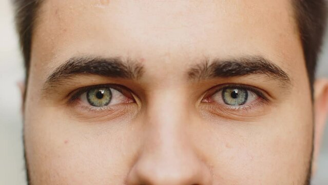 Extreme close-up macro portrait of face. Young adult handsome bearded man's eyes looking at camera. Gray green eyes of guy male boy. Caucasian man opening blinking eyes, smiling. Laser correction