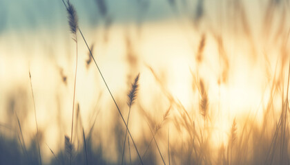 Wild grass in the forest at sunset. Macro image, shallow depth of field. Abstract summer nature background. Vintage filter - obrazy, fototapety, plakaty