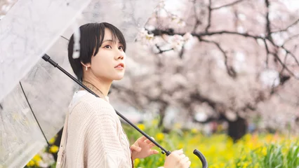 Foto op Plexiglas Young adult japanese woman and umbrella on rainy day with spring sakura cherry blossom © dodotone