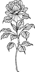 Realistic Floral Collection