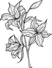 Realistic Floral Collection