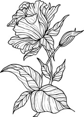 Realistic Floral Collection