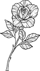 Realistic Floral Collection