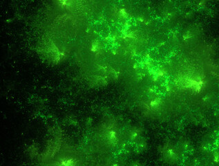 Imaginatory fractal abstract background Image