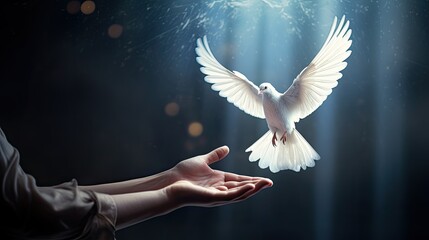 A flying dove in the hand as a symbol of hope and free - obrazy, fototapety, plakaty