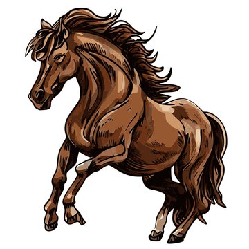 Horse picture, It's an animal illustration used in common applications