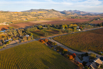 Fall Colors in Napa Valley, California
