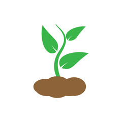 Sprout plant logo  icon