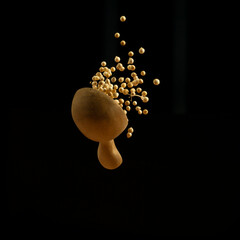 various kinds of kitchen spices such as turmeric, ginger, coriander, salt, chili, shallots, garlic, lime leaves. in the photo with a black background levitation concept