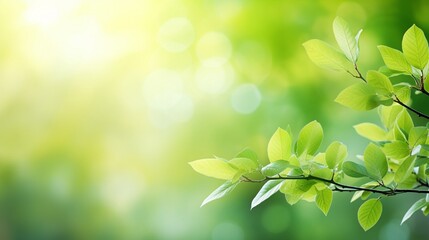 Fototapeta na wymiar Spring background, green tree leaves on blurred background