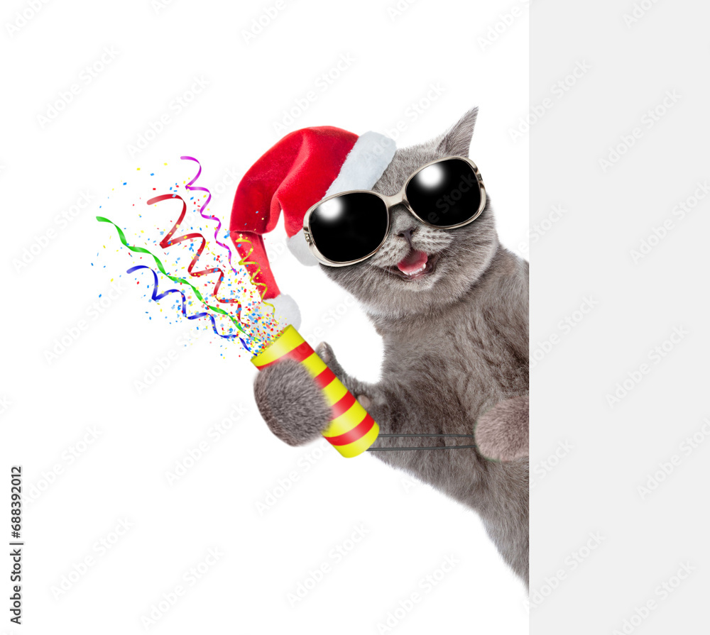 Aufkleber Happy cat wearing sunglasses and red santa hat holds exploding firecracker and looks from behind empty white banner. Isolated on white background