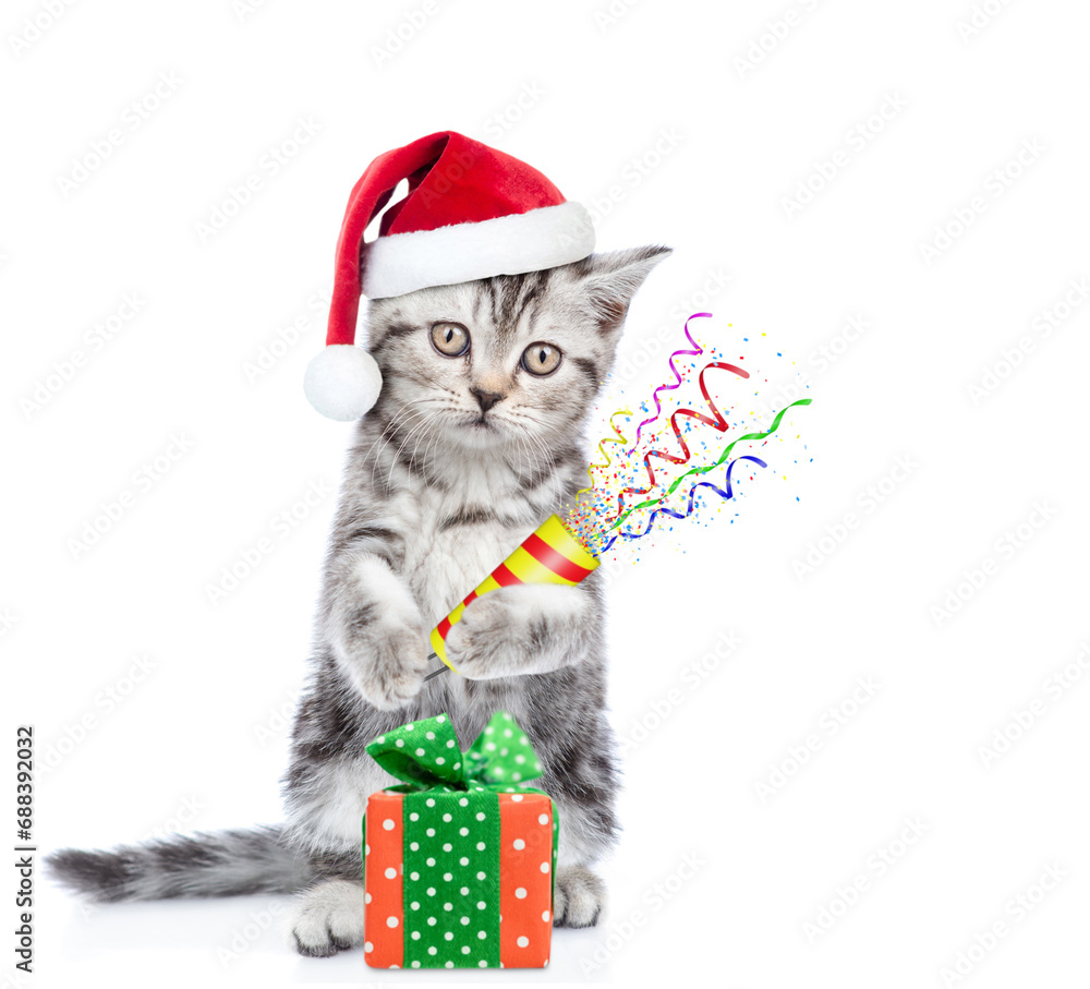 Poster cute kitten wearing red santa hat stands with toy bear and holds exploding firecracker. isolated on 