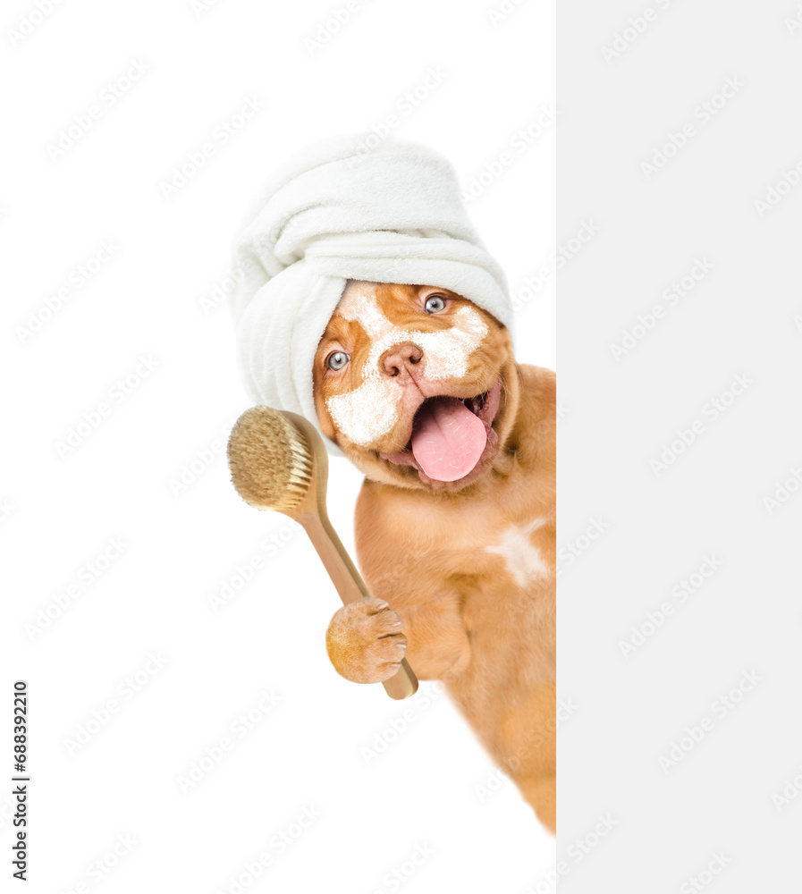 Poster happy mastiff puppy with towel on it head with cream on it face holds shower brush behind empty whit