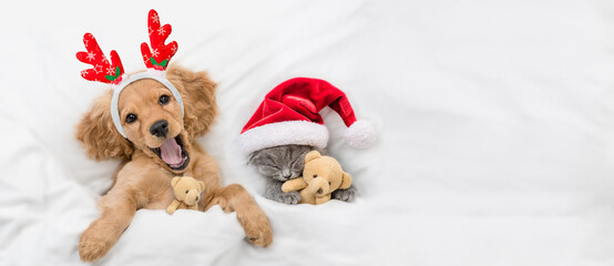 Happy English Cocker spaniel puppy dressed like santa claus reindeer  Rudolf lying with cozy kitten...