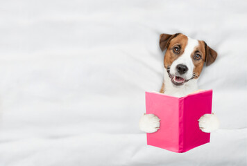 jack russell terrier puppy reads a book on a bed at home before bedtime. Empty space for text