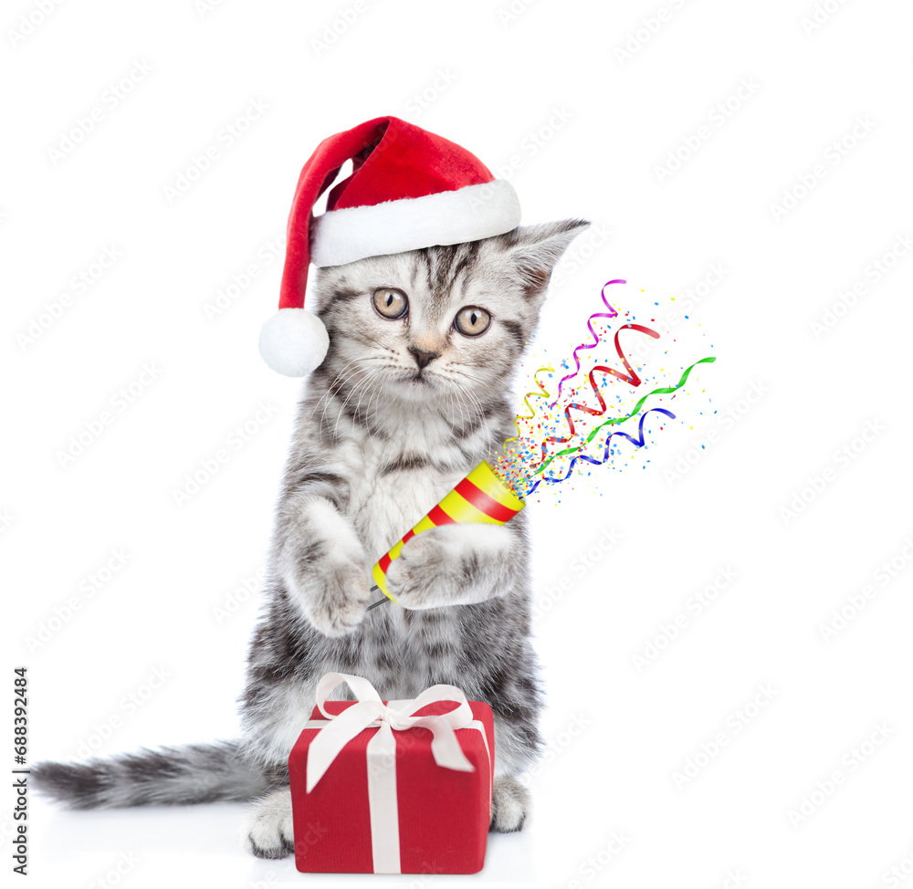 Poster cute cat wearing red santa hat stands with toy bear and holds exploding firecracker. isolated on whi