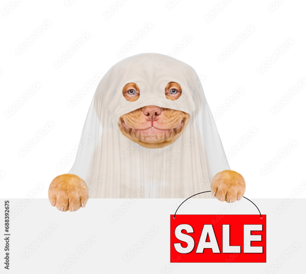 Poster smiling mastiff puppy dog celebrating halloween in ghost costume showing signboard with labeled 