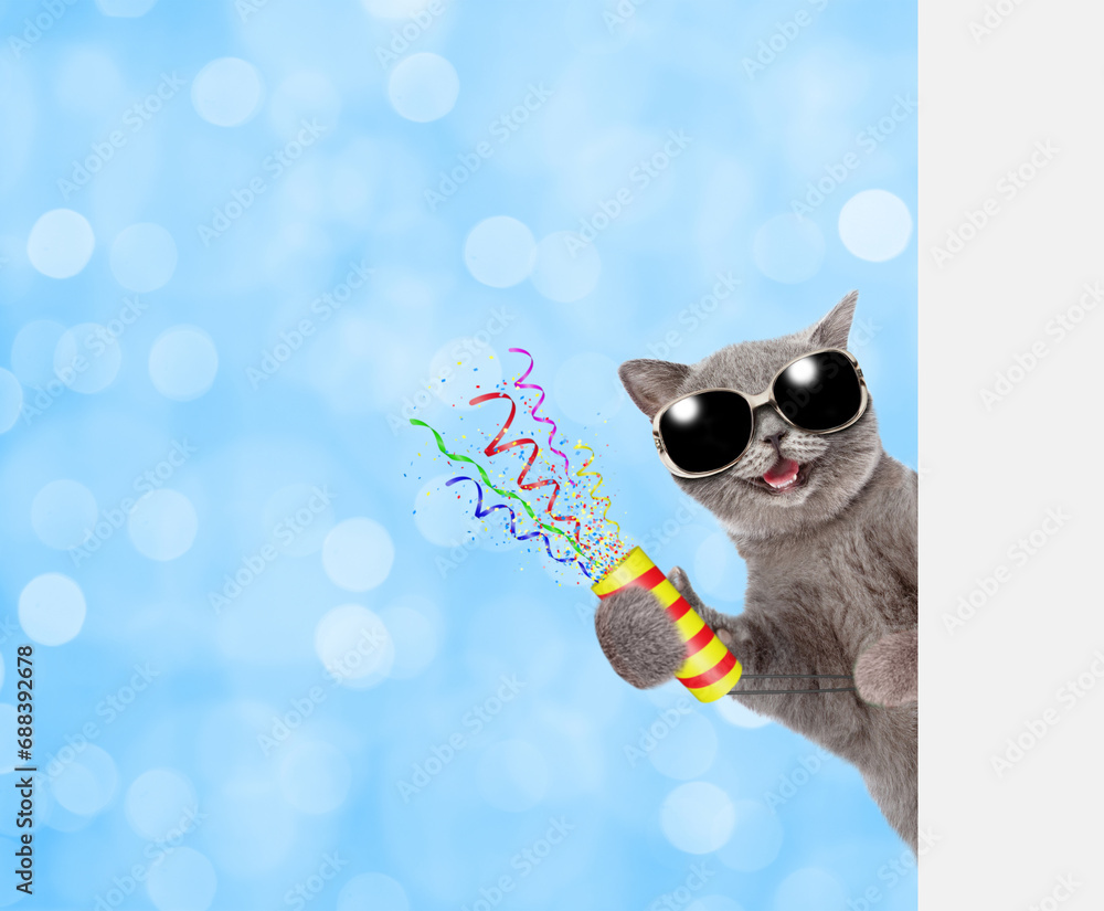 Aufkleber Happy cat wearing sunglasses holds exploding firecracker and looks from behind empty white banner. festive blue blured background