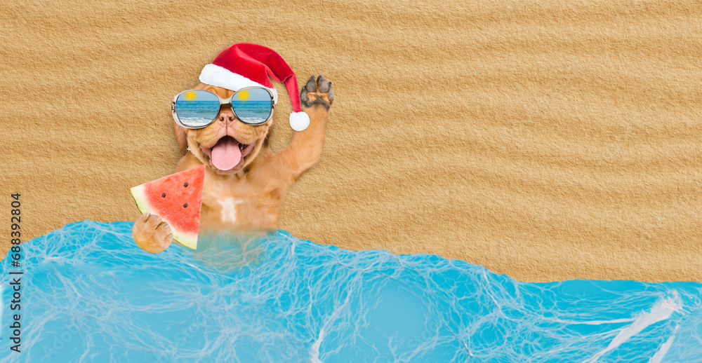 Poster happy mastiff puppy wearing mirrored sunglasses and red santa hat lying on sandy tropical beach at o