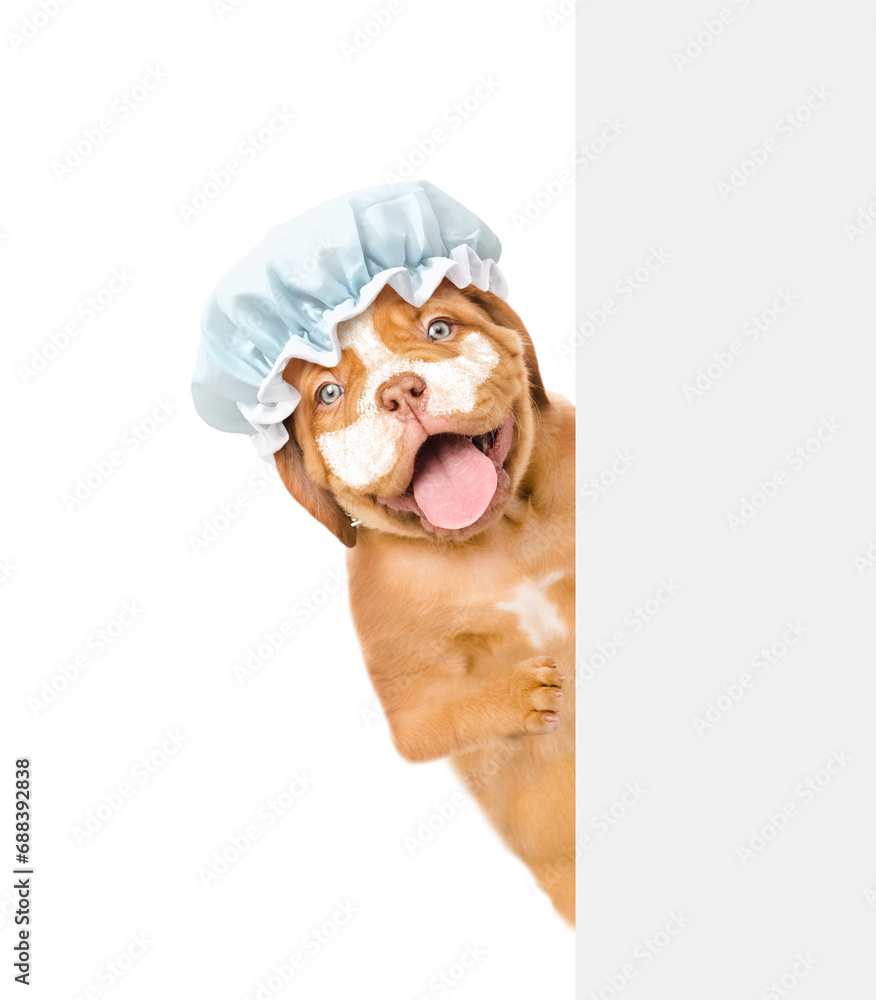 Poster happy mastiff puppy wearing shower cap with cream on it face holds shower brush and looks from behin