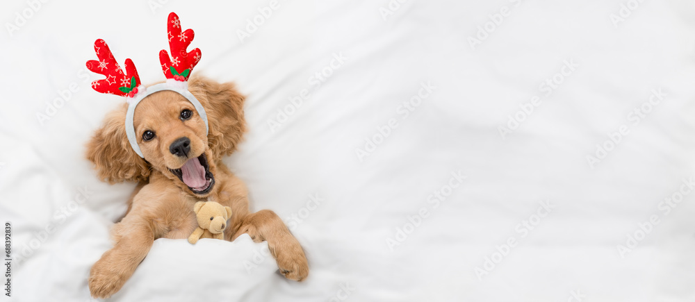 Aufkleber yawning english cocker spaniel puppy dressed like santa claus reindeer rudolf lying with toy bear un