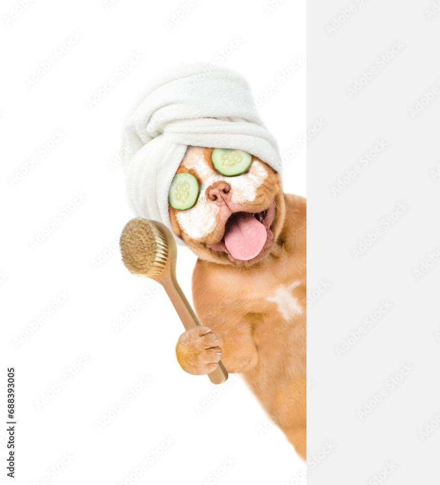 Poster happy mastiff puppy with towel on it head, with pieces of cucumber on it eyes and with cream on it f