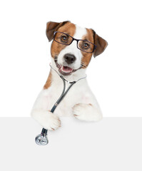 Smart jack russell terrier wearing eyeglasses with stethoscope on his neck looks above empty white...