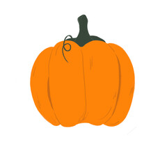 Autumn Pumpkin Illustration