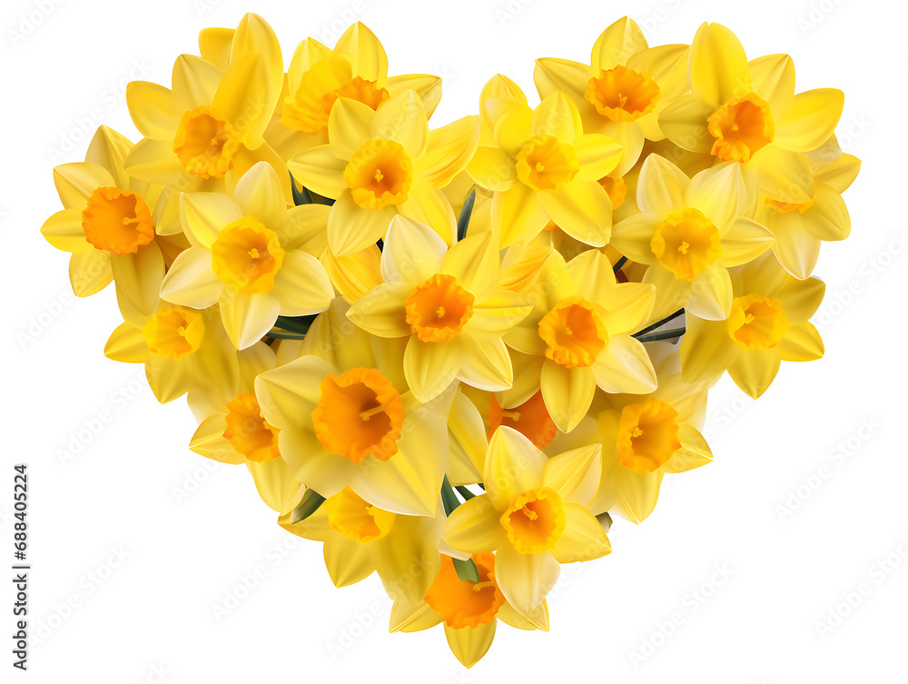 Wall mural heart shape bouquet of yellow daffodils isolated on transparent background - design element png cuto