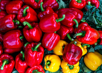 Fresh red and yellow sweet bell peppers as texture background